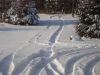 Filename=2009-12-firstSnow-03.jpg
Filesize=287KB
Dimensions=1536x1152
Date added=Dec 09, 2009 2009-12-firstSnow-03.jpg