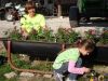 Filename=FlowerPower-1.JPG
Filesize=168KB
Dimensions=1000x750
Date added=May 10, 2012 FlowerPower-1.JPG