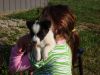 Filename=NewestAddition-Wally.JPG
Filesize=100KB
Dimensions=1000x750
Date added=May 10, 2012 NewestAddition-Wally.JPG